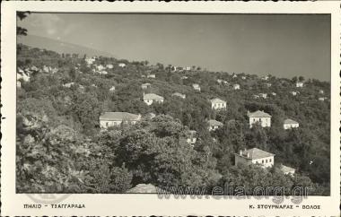 Πήλιο - Τσαγγαράδα.
