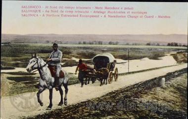 Salonicco - Al Nord del campo trincerato - Muta Macedone e paludi.