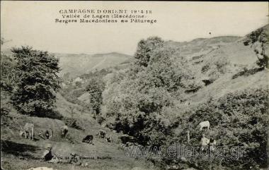 Campagne d' Orient 1914-18.
Vallée de Lagen (Macédoine). Bergers Macédoniens au Pâturage.