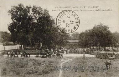 Campagne d' Orient 1914-17.
Parc à Bestiaux pour le corps expéditionnaire.