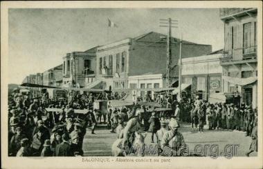 Salonique - Albatros conduit au parc.