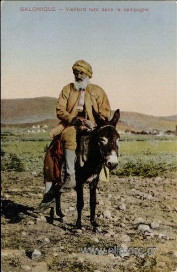 Salonique - Vieillard turc dans la campagne.