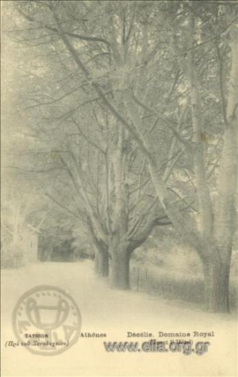 Τατόϊον (Προ του Ξενοδοχείου).