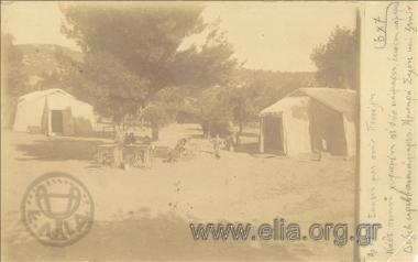 Κατασκήνωση στην Πεντέλη.