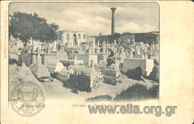 Alexandrie. Colonne de Pompée et Cimetière arabe.