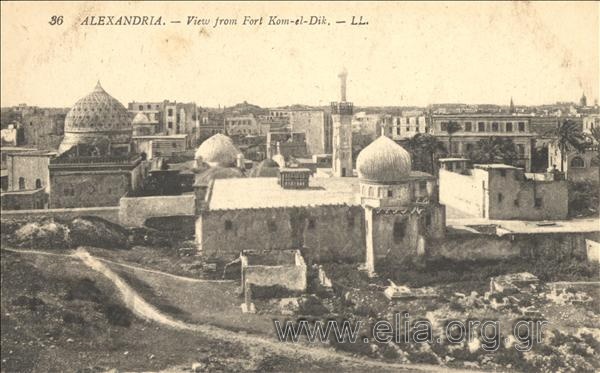 Alexandria. - View from Fort Kom-el-Dik.