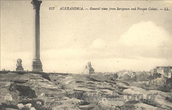 Alexandria. - General view from Serapeum and Pompee Column.