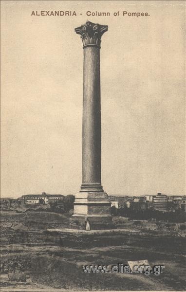 Alexandria. - Column of Pompee.