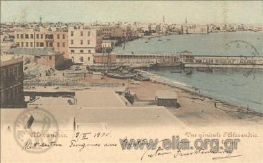 Alexandrie. Vue générale d' Alexandrie et des bains.