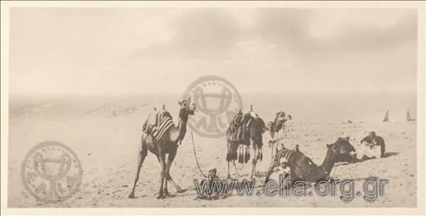 Cairo - Natives traversing the Desert.