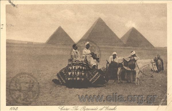 Cairo - The  Pyramids of Gizeh.
