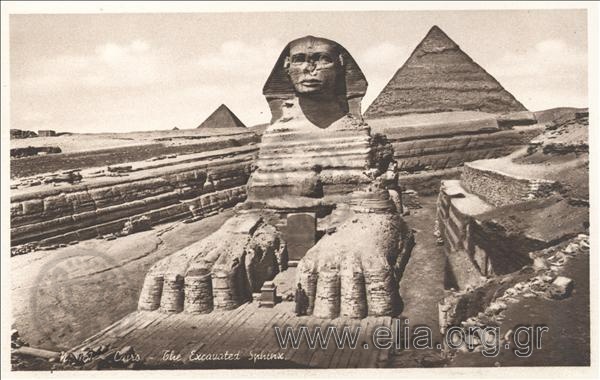 Cairo - The Excavated Sphinx.