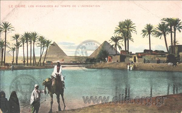 Le Caire. Les  Pyramides au temps de l' inondation.