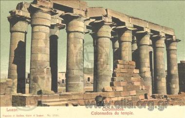 Luxor. Colonnades du temple.