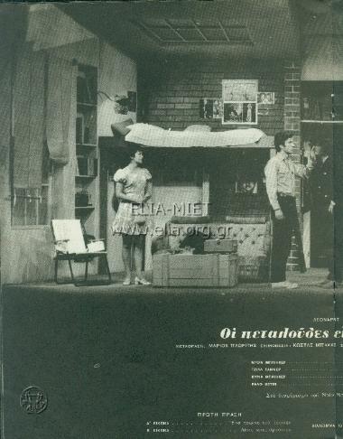 Butterflies are free