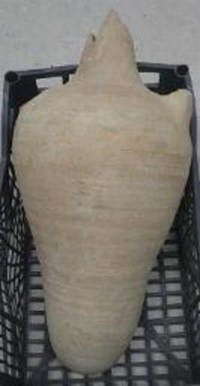 Βυζαντινός αμφορέας (μαγαρικό)