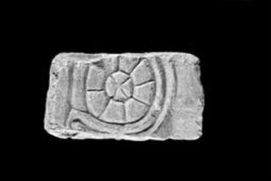 Τμήμα κιιονίσκου με συμφυές κιονόκρανο