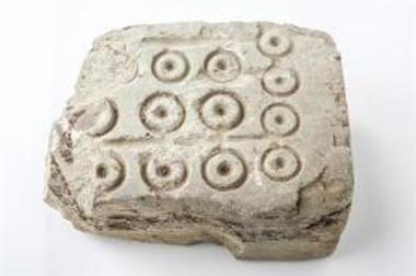 Τμήμα μήτρας