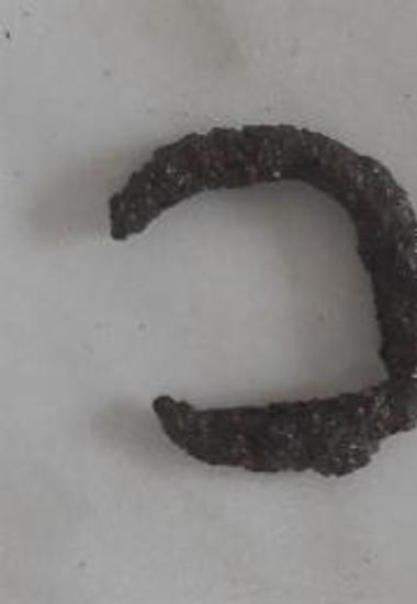 Τμήμα σιδερένιας πόρπης