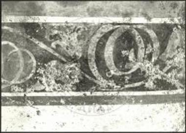 Το εσωτερικό του τάφου Παλατιτσίων μετά τον καθαρισμό: α. Η γραπτή ζωφόρος με τη βλαστόσπειρα (δυτ. τοίχος).