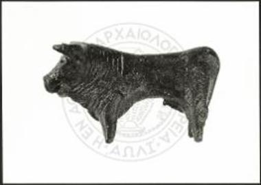 Stier (X 3573).
