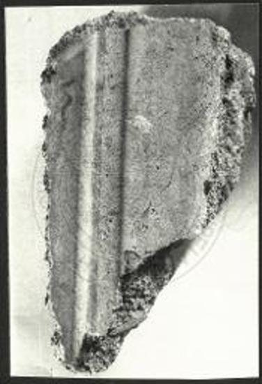 Γύψινον κυμάτιον.