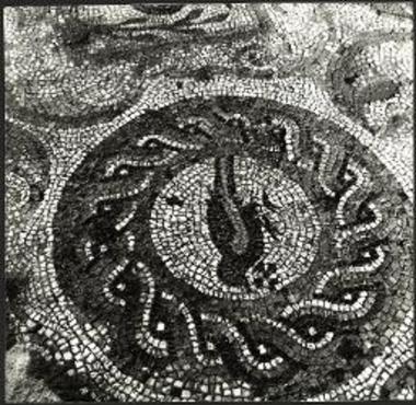 Βασιλική Β.Λεπτομέρεια πτηνού (κοσσύφου) εκ του ψηφιδωτού δαπέδου του βορείου κλίτους.