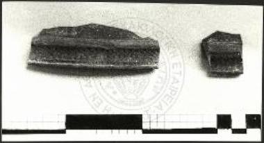 Όστρακα φωκικών αγγείων.