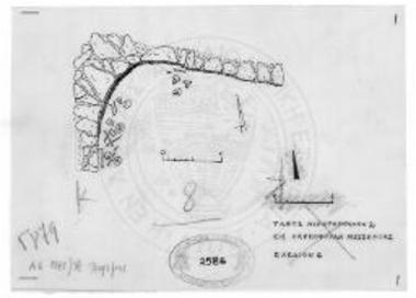 Καρποφόρα Μεσσηνίας. Θέσις Τουρκοκίβουρα. Κάτοψις τάφου Νικητοπούλου 2.