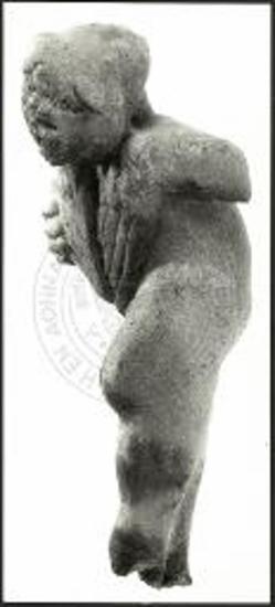 Πλάγια όψη Ερωτιδέα.