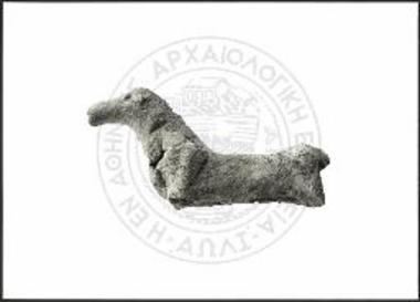 Stallion with body of oval cross-section and protruding chest.