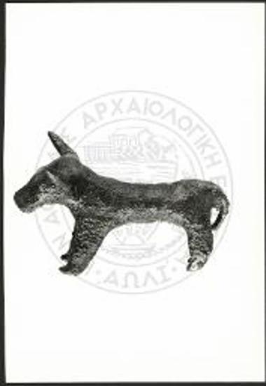 Stier (X 3894).