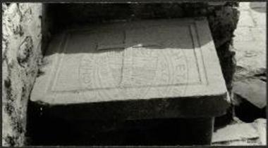 Πλάκα θωρακίου.