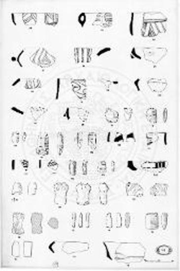 Κεραμική και μερικά μικροαντικείμενα από τις νεολιθικές θέσεις της κεντρικής Μακεδονίας.