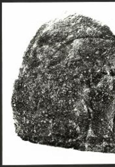 Το αριστερό χέρι του κυνηγού συγκρατεί τον διαμελισμένο αίγαγρο.