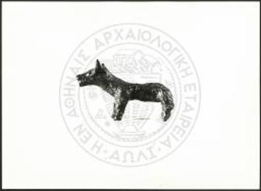 Stier (X 4979).