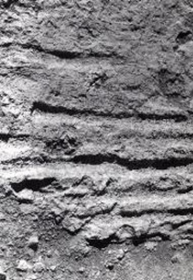 Βόρεια κλιτύς ακροπόλεως, αποτυπώματα δοκαριών και κονιάματος.