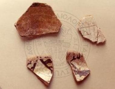 Όστρακα ομάδων VΙ και VΙΙ.