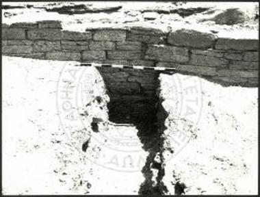 Πάρος, Κουκουναριές. Ο δυτικός αναλημματικός τοίχος του ιερού.