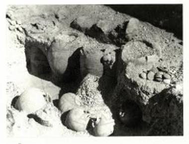 Τομέας Α, δωμάτιο ισογείου Α1. Η ανασκαφή αποκάλυψε, μέσα στο στρώμα της ελαφρόπετρας, τη σκευή του ισογείου από πίθους, πρόχους και αμφορείς (Thera Ι, εικ. 24).