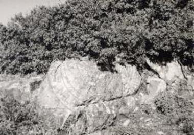 Fortification wall .