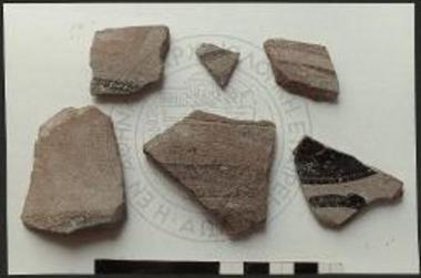 Όστρακα της κατηγορίας των ταινιωτών.