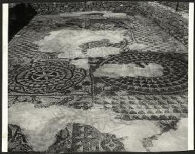 Γενική άποψις του ψηφιδωτού δαπέδου του μέσου κλίτους της βασιλικής Ολούντος.