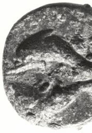 Νόμισμα της Αίγινας από την ανασκαφή.