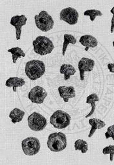 Κτερίσματα από τους τάφους του ταφικού μνημείου Κ6. Ήλοι καττυμάτων.