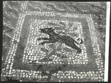 Κύων εκ διαχώρου του νοτίου κλίτους.