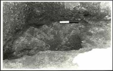 Άνδηρο IV, τάφρος 41, δωμάτιο 3. Τμήμα του οχετού κατά μήκος του ΝΔ τοίχου.