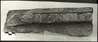 Πήλινον περιρραντήριον με ιωνικόν κυμάτιον.