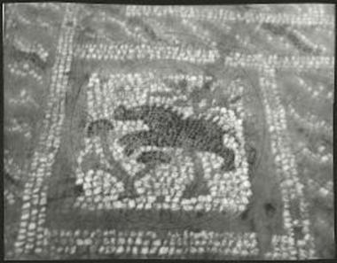 Αγριόχοιρος εντός τετραγώνου του νοτίου κλίτους.