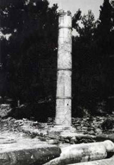 Βασιλική επισκόπου Ελπιδίου. Ο αναστηλωθείς κίων.